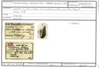 Karteikarte zum Syntyp von Cristellaria italica cincta Karrer, 1877